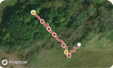 A blood trail drawn on the map from the hit site, with markers along the way